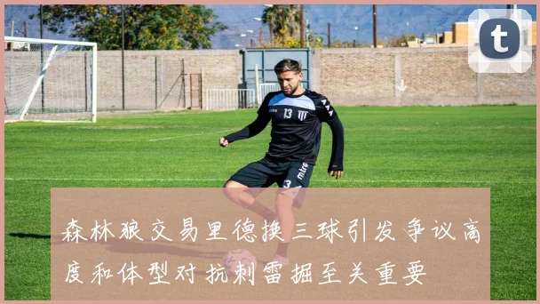 森林狼交易里德换三球引发争议高度和体型对抗刺雷掘至关重要