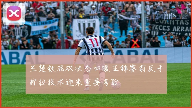 王楚钦混双状态回暖亚锦赛前反手拧拉技术迎来重要考验